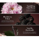 Парфуми BOMBSHELL MAGIC eau de parfum   50ml